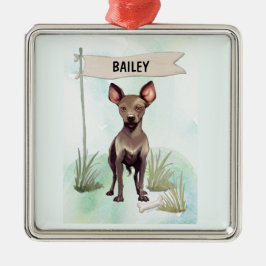 Xoloitzcuintli Watercolor Personalized Dog Julgransprydnad Metall