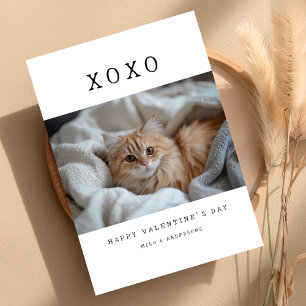 XOXO Enkel Retro Katt Kittel Foto Alla Hjärtans Da Julkort