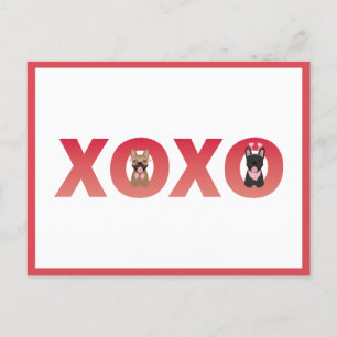 XOXO Fransk Bulldog Vykort
