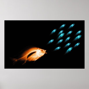 XRAY FISH CHASE BLACK ORIGINAL POSTER