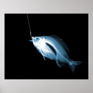 XRAY KROK FISH BLACK BLUE POSTER