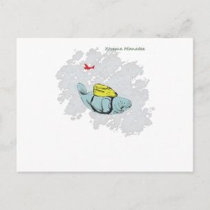 Xtreme Manatee Skydiving Vykort