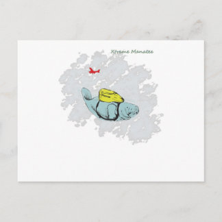 Xtreme Manatee Skydiving Vykort