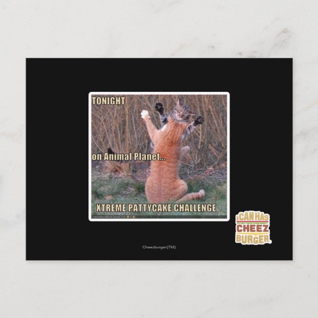 Xtreme PattyCake Challenge Vykort (Framsida)