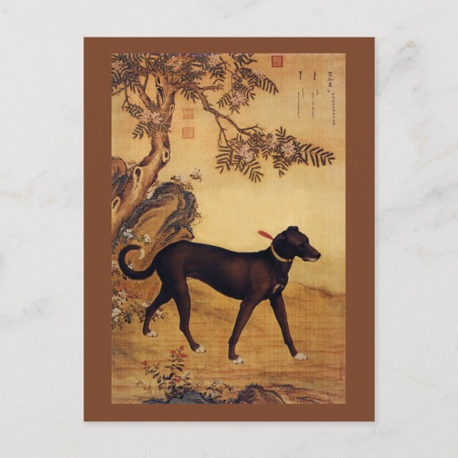 Xueluzhua ~ 雪 爪 卢 ~Greyhound ~Giuseppe Castiglione Vykort (Framsida)