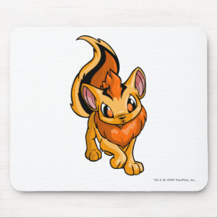 Xweetok orange musmatta