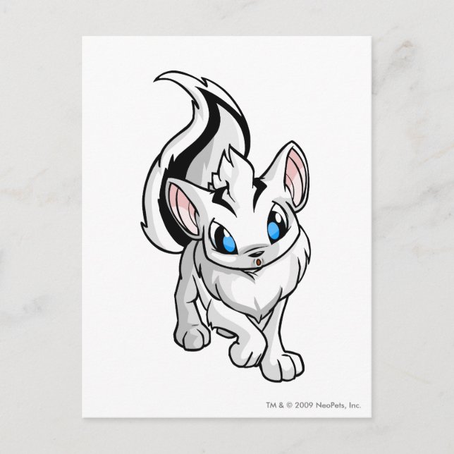 Xweetok White Vykort (Framsida)