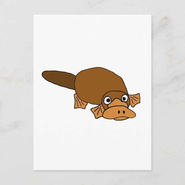XX- Anka Billed Platypus Tecknad Vykort (Framsida)