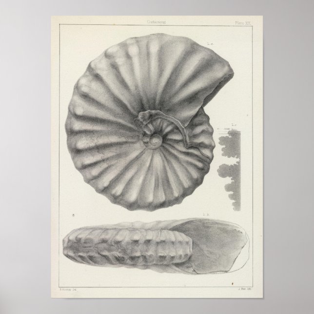 XX Frätande Poster (Framsidan)