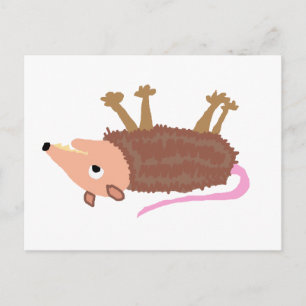 XX- Funny Dead Possum Roadkill Tecknad Vykort