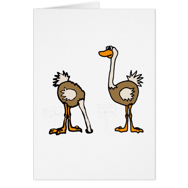 XX- Ostriches i Sand Hälsningskort (Framsidan)