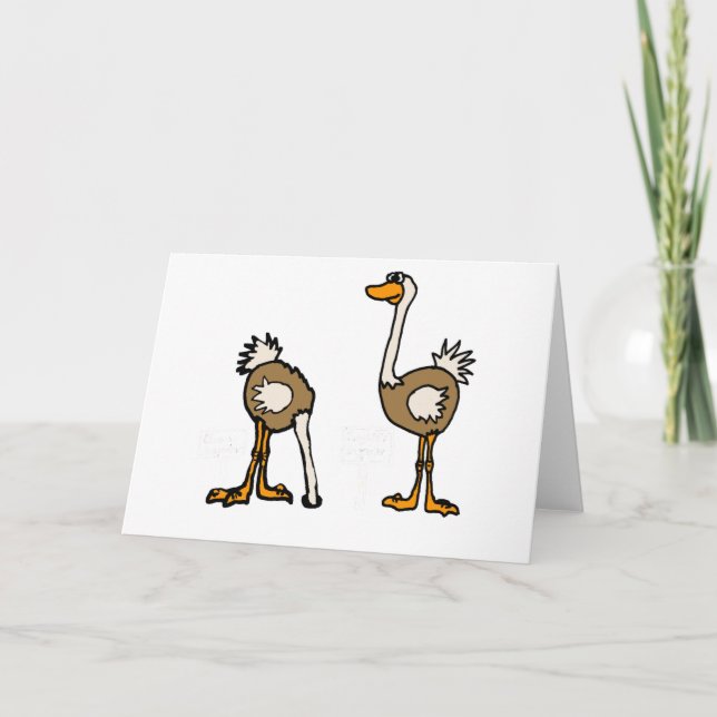 XX- Ostriches i Sand Kort (Framsida)