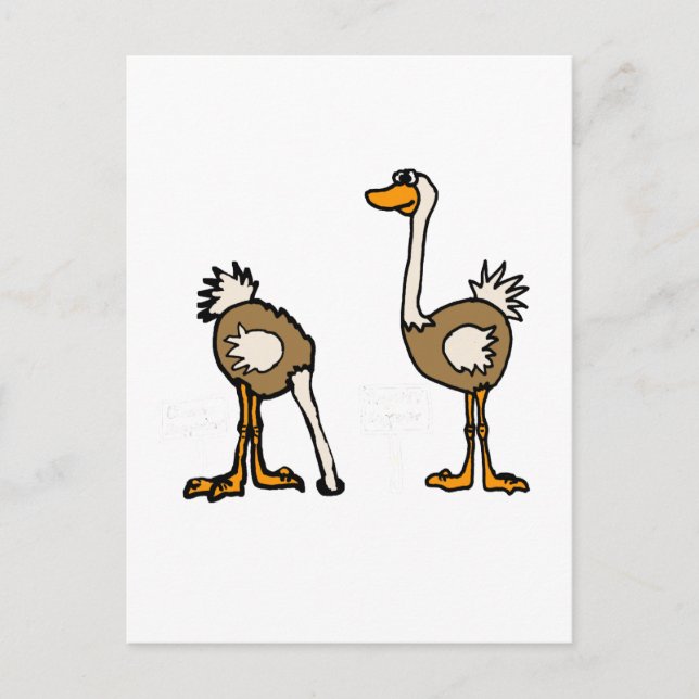 XX- Strutsar i sand Vykort (Framsida)