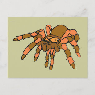 XX- Superskoj Tarantula Spider Vykort