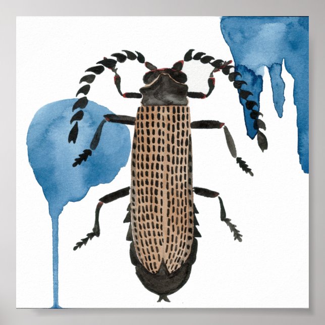 Xylobanus Japonicus Poster (Framsidan)