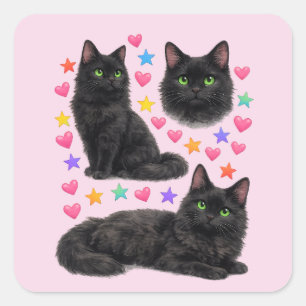y2k regnbåge hjärtan svart katt kawaii söt fyrkantigt klistermärke