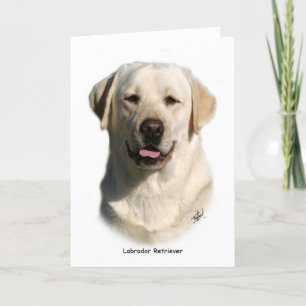 Y ellow Labrador Retriever Kort