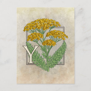 Y för Yarrow Flower Alphabet Vykort