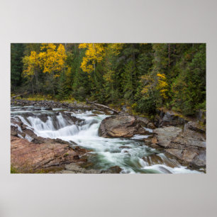 Yaak sjunker hösten i Kootenaifolket Poster