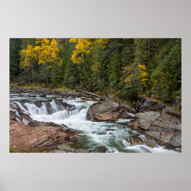 Yaak sjunker hösten i Kootenaifolket Poster (Framsidan)