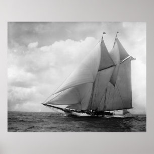 Yacht Amerika c1910 Poster