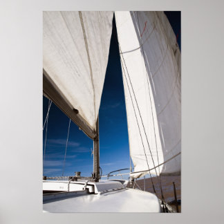 Yacht seglar och himlar poster