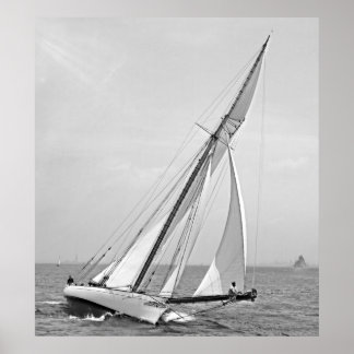 Yacht "Shamrock" i New York Harbour 1895 BW Poster