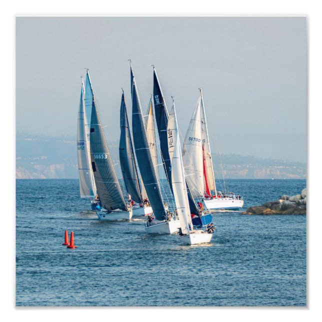 Yacht Tävling - Marina Del Rey, CA Fototryck (Framsidan)