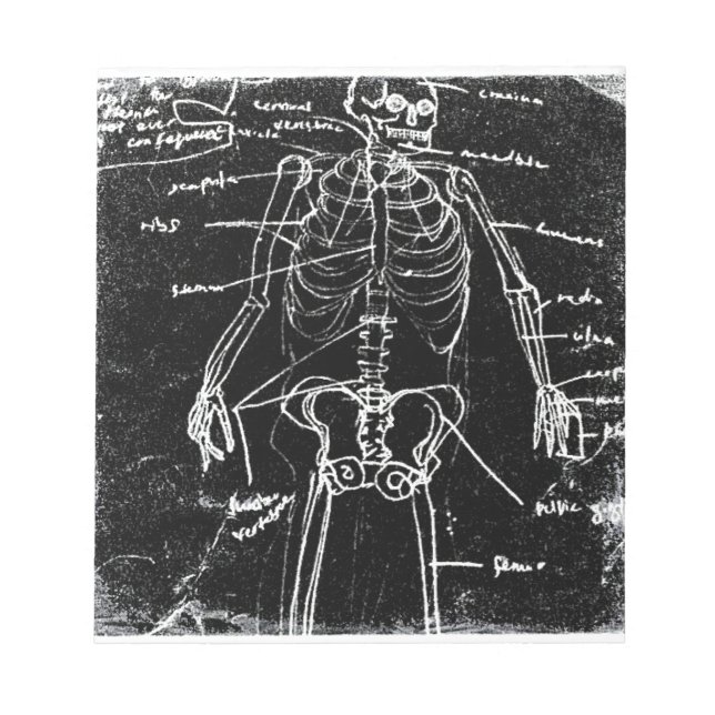 Yaie tokyo human skeleton anatomi anteckningsblock (Framsida)
