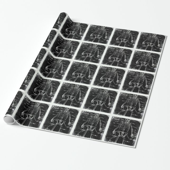 Yaie tokyo human skeleton anatomi presentpapper (Utrullad)