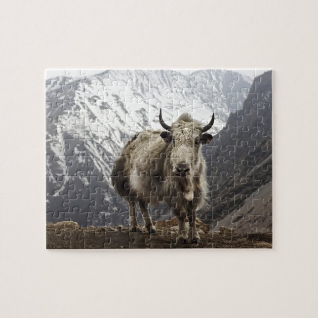 Yak i Nepal Pussel (Horisontell)