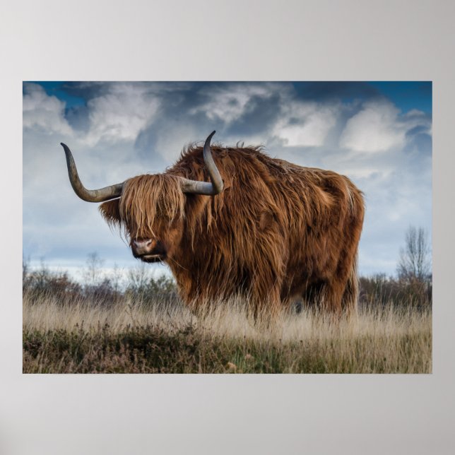 Yak Poster (Framsidan)