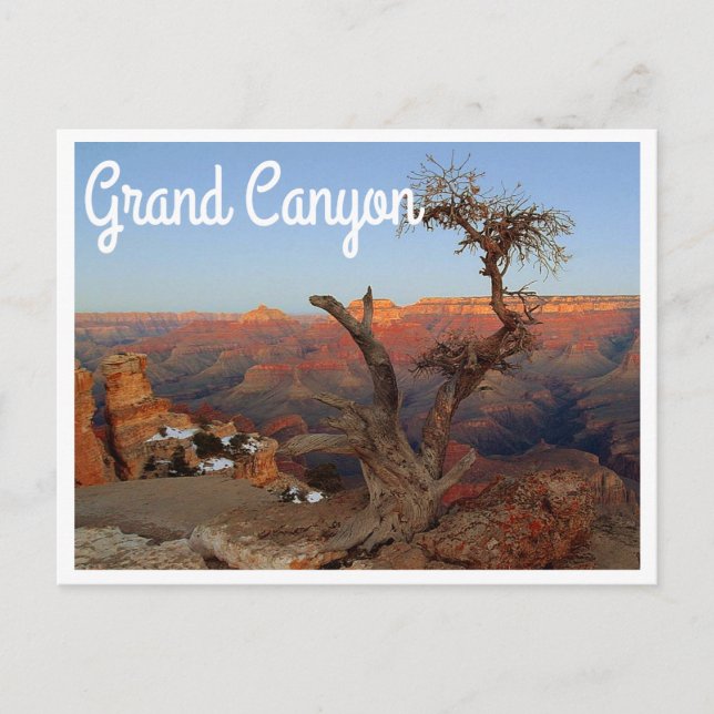 Yaki Point, Grand Canyon Arizona-vykort Vykort (Framsida)