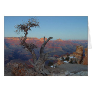 Yaki Point in Grand Canyon Hälsningskort