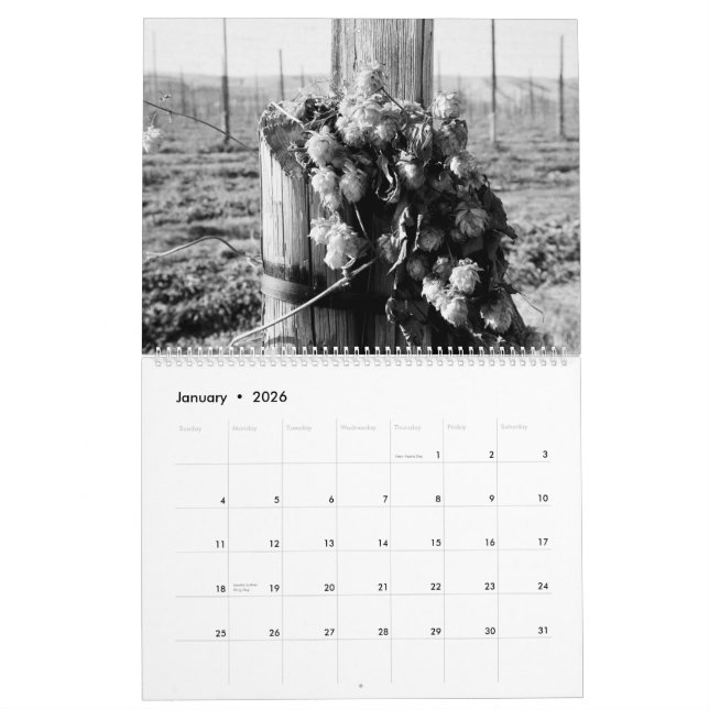 Yakima County på Film Kalender (Jan 2026)