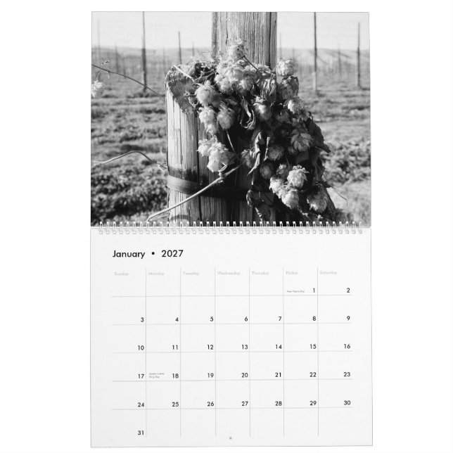 Yakima County på Film Kalender (Jan 2027)