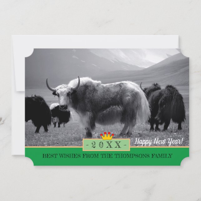 Yaks och Gott nytt år! Card /Himalayas, Yak Tibet Julkort (Framsida)