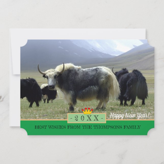 Yaks och Gott nytt år! Kort /Himalaya, Tibet (Framsida)