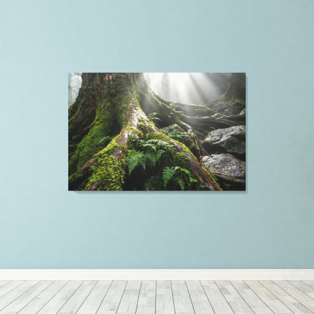 Yakushima Moss Forest 'Breath of Life' | Biophilic Canvastryck (Insitu (trägolv))