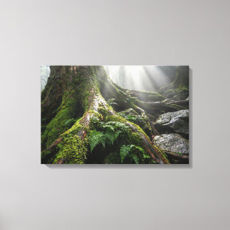 Yakushima Moss Forest 'Livets andetag' | Biofilisk Canvastryck