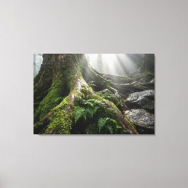 Yakushima Moss Forest 'Livets andetag' | Biofilisk Canvastryck