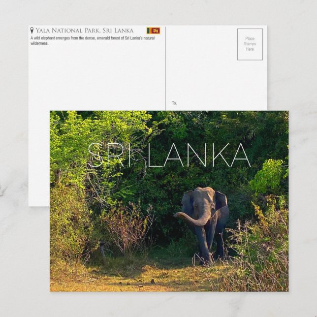 Yala Nationalpark, Sri Lanka Resebrevkort Vykort (Fram/baksida)