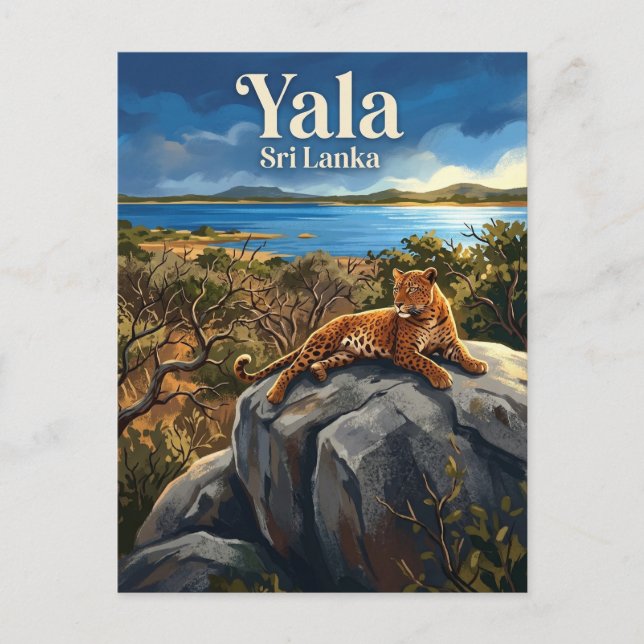 Yala nationalpark Sri Lanka Vykort (Framsida)