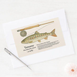 Yamame (Oncorhynchus masou) – Engelsk Illustr. Rektangulärt Klistermärke