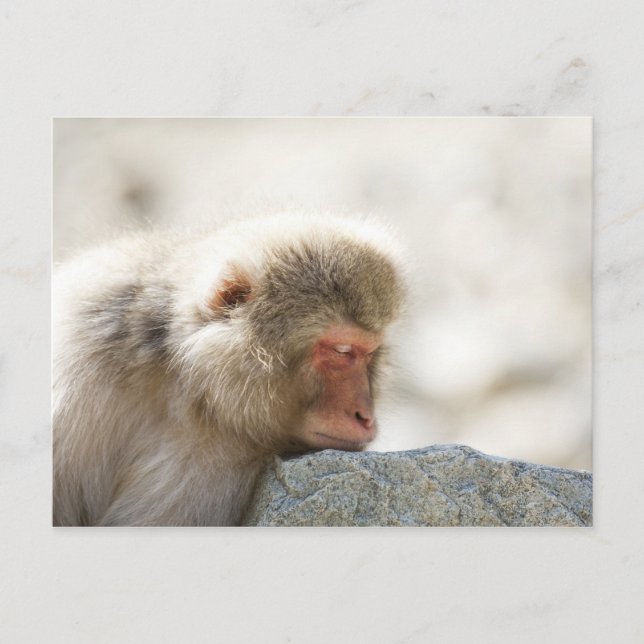 Yamanouchi, Chubu, Nagano prefecture, Japan Vykort (Framsida)