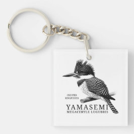 YAMASEMI Crested Kingfisher