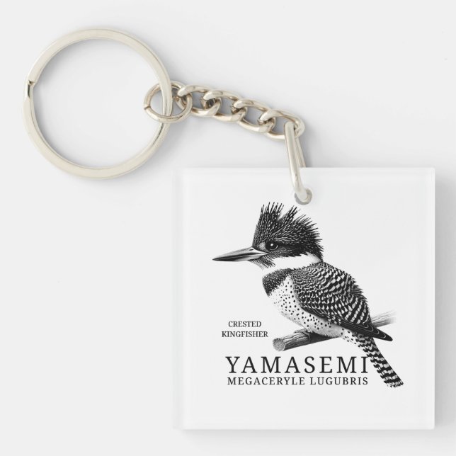 YAMASEMI Crested Kingfisher (Framsidan)