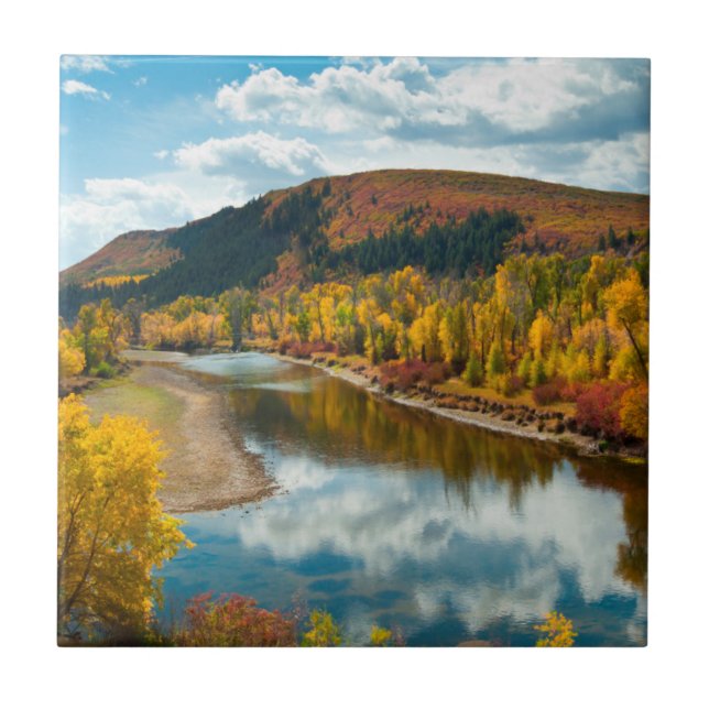 Yampa River på hösten Kakelplatta (Framsidan)