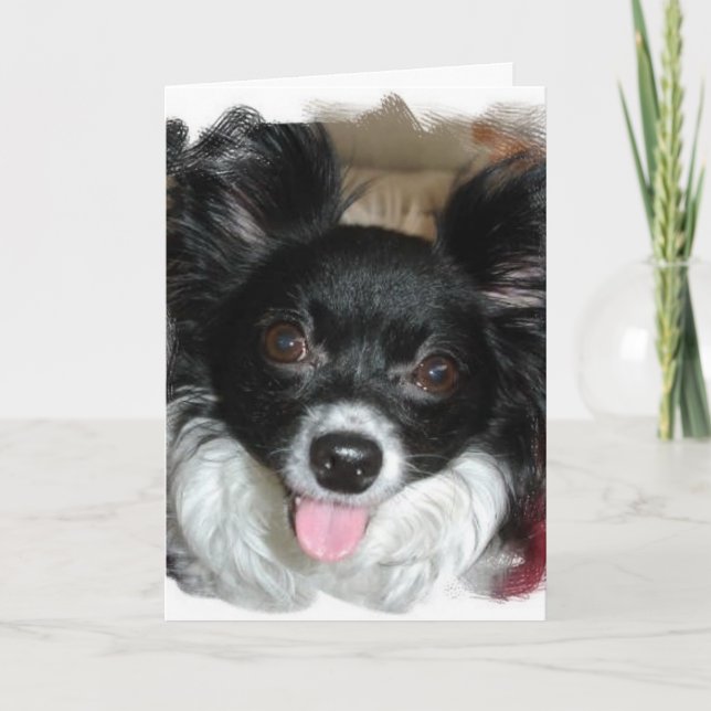 Yappy Birthday Kort (Framsida)