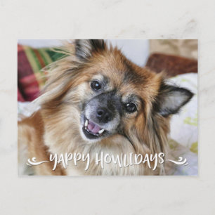 YAPPY rolig hund foto för HOWLIDAYS Helg Vykort